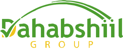 Dahabshiil group